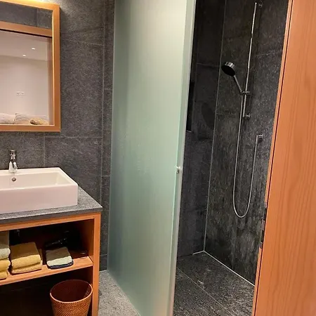 Luxury - 5 Min Walking To Congress Center 达沃斯