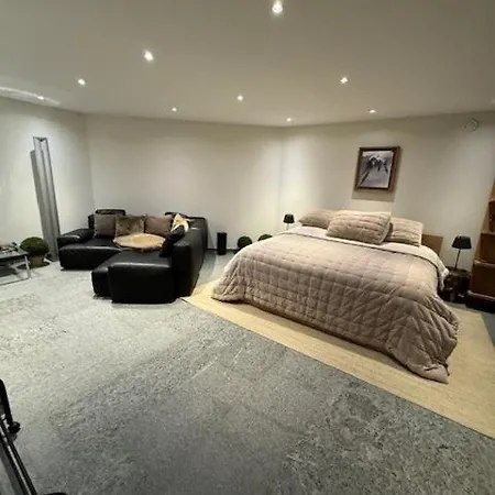 Luxury - 5 Min Walking To Congress Center